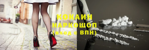 прущие грибы Карталы