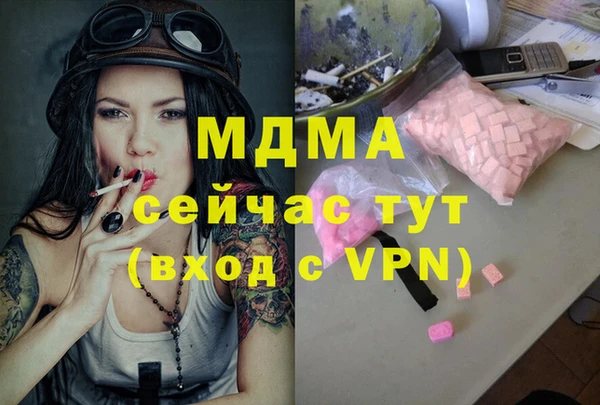 apvp Алзамай