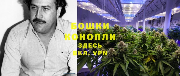 apvp Алзамай
