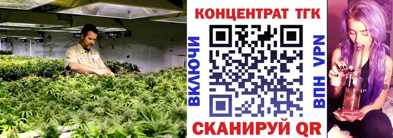 Дистиллят ТГК концентрат Заполярный