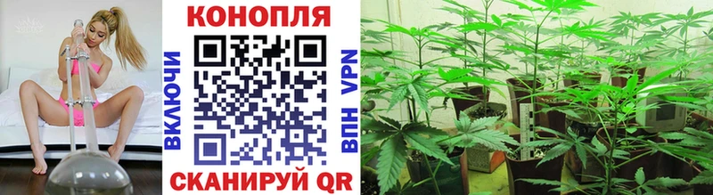 Каннабис Ganja  Заполярный 